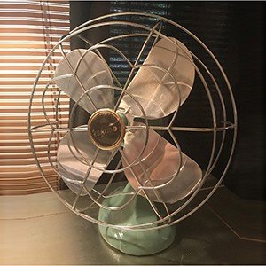 Fan